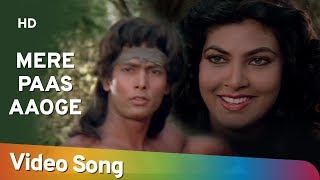 Mere Paas Aaogay Mere Saath Nachoge  Kimi Katkar  Tarzan  Old Hindi Songs  Bappi Lahiri [upl. by Auof]