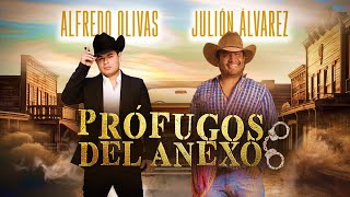 Profugos Del Anexo  Julión Álvarez y Alfredo Olivas quotEn las buenas y en las malasquot [upl. by Ermey270]