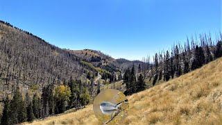 Ruidoso Hike and Ride to 🎃 Spooky Forest 🎃 New Mexico 4k [upl. by Recneps961]