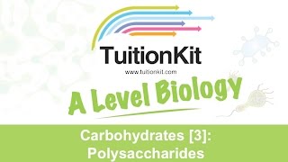 Carbohydrates 3 Polysaccharides High band Biology [upl. by Ainecey]