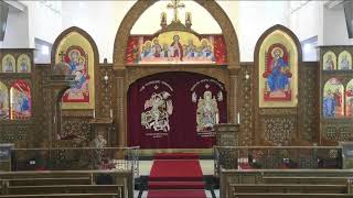 St Mary and St Philopter Streaming [upl. by Annaeoj551]