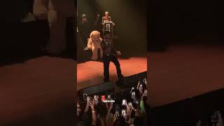 Rema  Calm Down Live performance  spectacular performance from New York City [upl. by Zachar982]