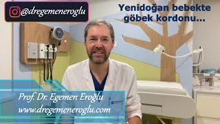 Yenidoğan bebekte göbek kordonu ProfDr Egemen Eroğlu [upl. by Leibrag]