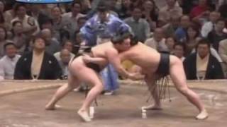 Hakuho vs Harumafuji Highlights [upl. by Malti]