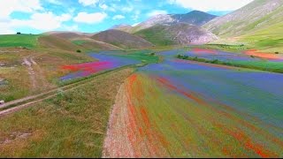 Italy Umbria Fioritura 2016 Castelluccio di Norcia prima del terremoto [upl. by Maryanna819]