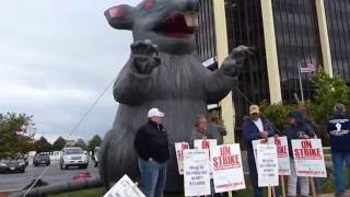 Ironworkers Local 63 and Scabby the Rat [upl. by Erodavlas910]