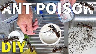 Do it yourself Borax Ant Killer  how to make Ant Poison and Ant Bait Stations [upl. by Row]