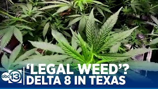 Is Delta 8 Legal Weed in Texas [upl. by Ramas]