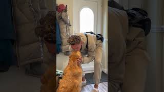 Dog Reunited With Owner  The Most Adorable Reaction 🥺 [upl. by Brok]