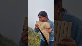 YOU RAISE ME UP panflute quenacho quena nativeflutes zampoña livemusic [upl. by Yhotmit]