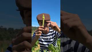 COMMENT POLLINISER SES COURGETTES  🍆 jardinage potager permaculture [upl. by Marchelle]