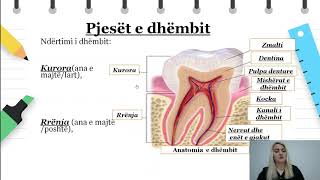 Klasa 3  Shkenca natyrore  Dhëmbë të shëndetshëm [upl. by Alpert384]