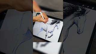 Learn To Draw a Realistic Horse  Easy and Clean 🐎 [upl. by Gewirtz801]