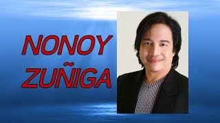 Kumusta Ka  NONOY ZUNIGA Karaoke [upl. by Ojeibbob]