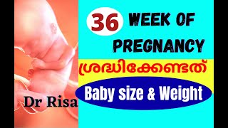 36 Week of Pregnant  pregnancy Week by Week Malayalam  9 Month of Pregnant [upl. by Nnhoj]