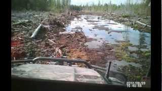 Argo ride in zone 24 swamp [upl. by Shelley]