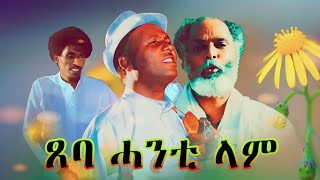 Abera Beyene  Tseba Hanti lam  Eritrean Tigrigna Music 2020 [upl. by Notnilc156]