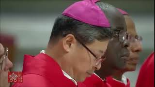 Pallium investiture of archbishop George Desmond Tambala of Lilongwe archdiocese at Maula Cathedral [upl. by Swane]