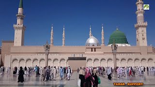 Saudi Arabia Travel Masjid Nabawi Walk in amp Out [upl. by Annaigroeg935]