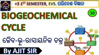 BIOGEOCHEMICAL CYCLE  ENVIRONMENTAL SCIENCE IN ODIA  3 1ST SEMESTER EVS IN ODIA LECTURE10 [upl. by Margit736]