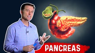 The Function Of Pancreas amp Pancreatitis – Dr Berg on Pancreatic Insufficiency [upl. by Odlanyar]