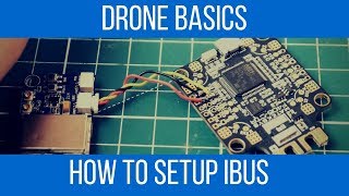 How to wire and setup flysky Ibus in betaflight  Under 5 Minutes [upl. by Pawsner]