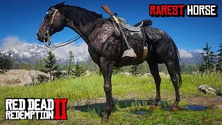 Discover 6 Unique Thoroughbred Horses and Where to Find Them  RDR2 Rare amp Special Horse Guide [upl. by Nivlek]