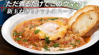 【超絶簡単】新玉ねぎとトマト缶を水で煮るだけでまさかの絶品料理 。アクアコッタ【 料理レシピ 】 [upl. by Janicki441]