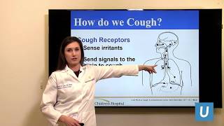 Chronic Cough Treatment for Children  Mindy Ross MD  UCLAMDChat [upl. by Clim]