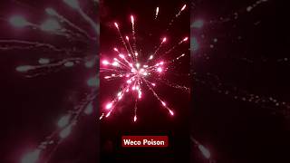 Weco Poison 🔥 pyroforever vuurwerk feuerwerk pyrotechnik silvester shorts shortvideo short [upl. by Musa]