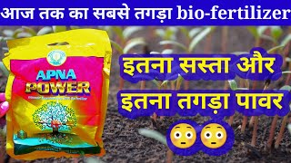 Arbuscular Mycorrhizal Fungi bio fertilizer माइकोराइजा बायो फर्टिलाइजर Mycorrhiza in hindi [upl. by Eanrahc]