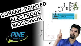 Electrochemical Impedance Spectroscopy of a ScreenPrinted Electrode Biosensor Inductive Loop [upl. by Sells268]