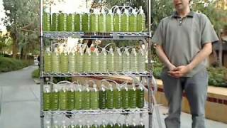 An Algae Bioreactor from Recycled Water Bottles [upl. by Eillas]