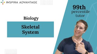 Biology Skeletal System  MCAT Crash Course [upl. by Oicnanev976]