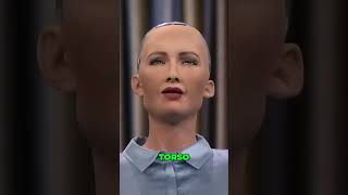 Meet Sophia The Lifelike Robot That Talks Like Humans humanoidrobot [upl. by Amalea191]