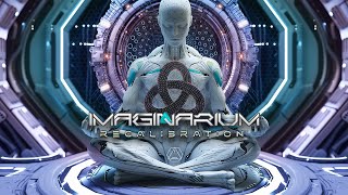 Imaginarium  Recalibration  Official [upl. by Aleyam212]