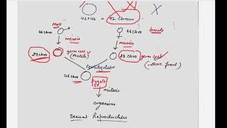 class 10 sexual reproduction in flowering plants [upl. by Eiffe]