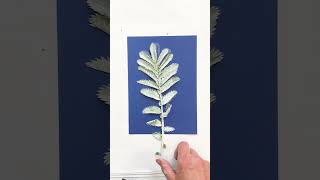 Monoprinting silverweed on blue paper botanicalprint monoprinting monoprints natureprints [upl. by Doralin]