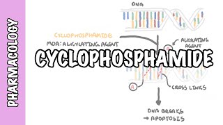 Cyclophosphamide  pharmacology mechanism of action adverse effects [upl. by Ettigirb]