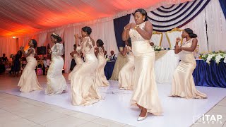 Best Bride and Bridesmaids Wedding Dance [upl. by Otsedom]