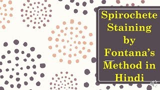 Spirochetes Staining by Fontanas Method Hindi  Microbiology with Sumi [upl. by Nnawaj]