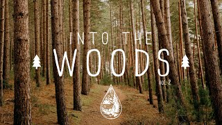 Into The Woods 🌲  A Mysterious IndieFolkPop Playlist  Vol 2 [upl. by Cenac]