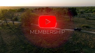 WildEarth YouTube Membership [upl. by Tanitansy284]