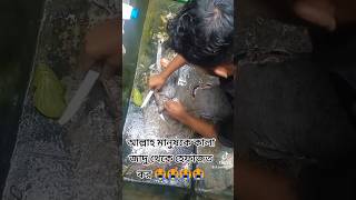 খুব ভয়ংকর কালো জাদু😭 عبدالرحمنمسعدتلاوةجديدة عبدالرحمنمسعد viralvideo shorts [upl. by Llerrom326]