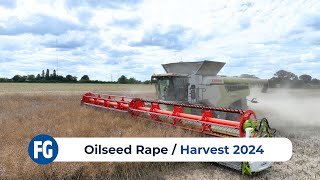 Oilseed Rape Harvest 2024 feat Claas 8900 Lexion [upl. by Annaej]