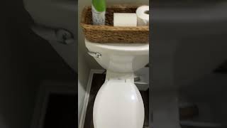 How to flush an American Standard Toilet [upl. by Luing]