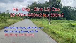 Đất Nhà Vườn  20x70 tc300m2  Long Nguyên Bàu Bàng đường nhựa giá rẻ [upl. by Mark493]