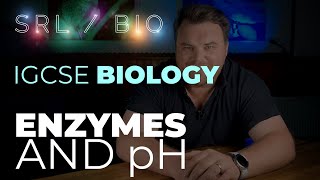 IGCSE Biology Required Practical pH and Enzymes with Amylase and Starch [upl. by Lynnelle]