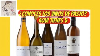 298 ¿CONOCES LOS VINOS DE PASTO Aqui tienes 5 de los mejores [upl. by Cthrine]