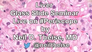 Hepatopathology Hepatic Steatosis Slide Seminar by Dr Neil Theise MD [upl. by Atinid]